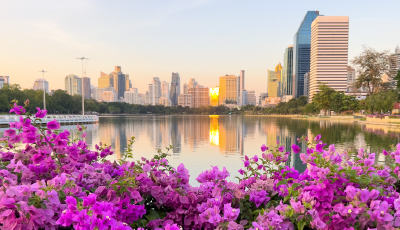 Options for Number Sequencing