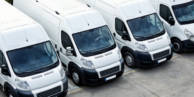 Options for Vehicle ID Cards